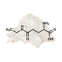 Citicoline